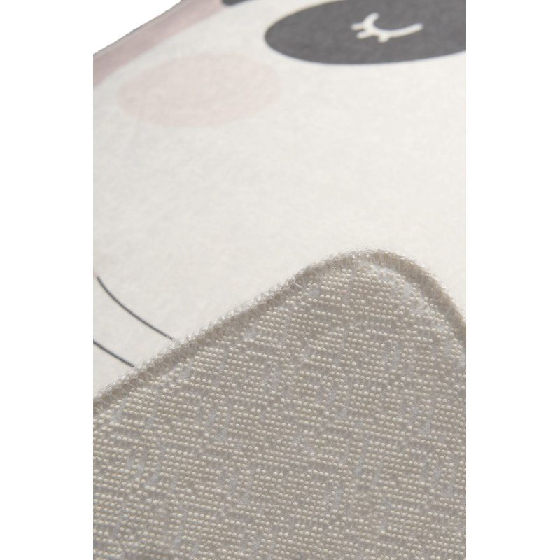 Tapis 100% polyester de qualité supérieure, 39,4 x 62,9 pouces | Antibactérien et antidérapant en dessous, hauteur de poils de 0,4 po | Lavable à la machine, parfait pour le salon ou la chambre à coucher | Conception douce, durable et facile d'entretien