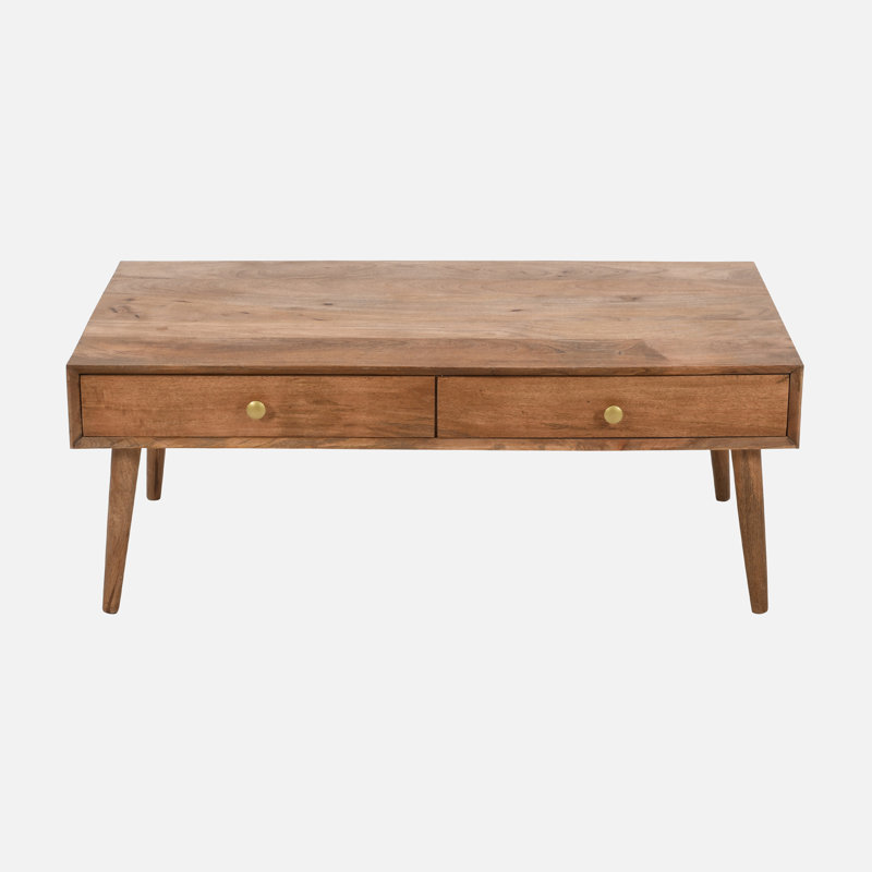 Tenera 48"x24"x18" Mid-century Rectangle Coffee Table With Storage