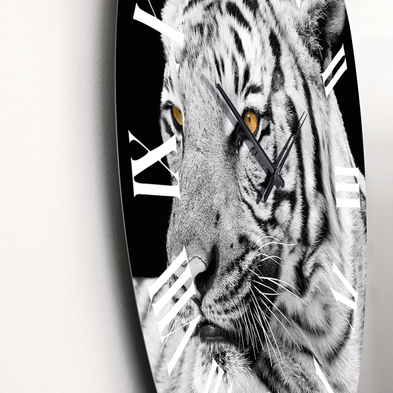 Portrait d'un tigre blanc II - Horloge murale traditionnelle, Moyen