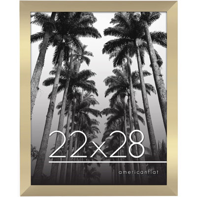 Signature Poster Frame Composite Wood and Plexiglass Cover Hanging Hardware included