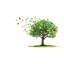 Green Tree Wall Decal, Nature Wall Sticker, Watercolor Tree Mural, Living Room Wall Art, Botanical Decor, Leaf Wall Decal, 176Gm-2010770614