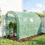 Serre de jardin adossée avec tablettes, couverture en PE de couleur verte et structure en acier galvanisé, 10 x 5 x 7 pieds-132851826-132851827