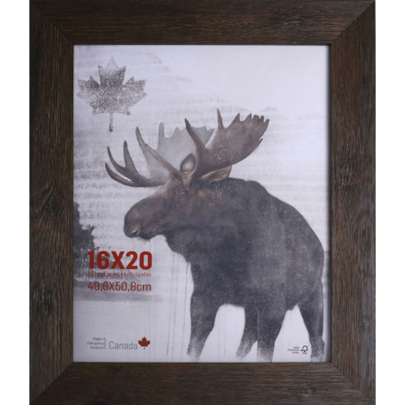Cadre photo simple en bois biseauté Ajara, Marron, 16" x 20"