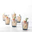 Dinnerware Set - Service for 6-308758600