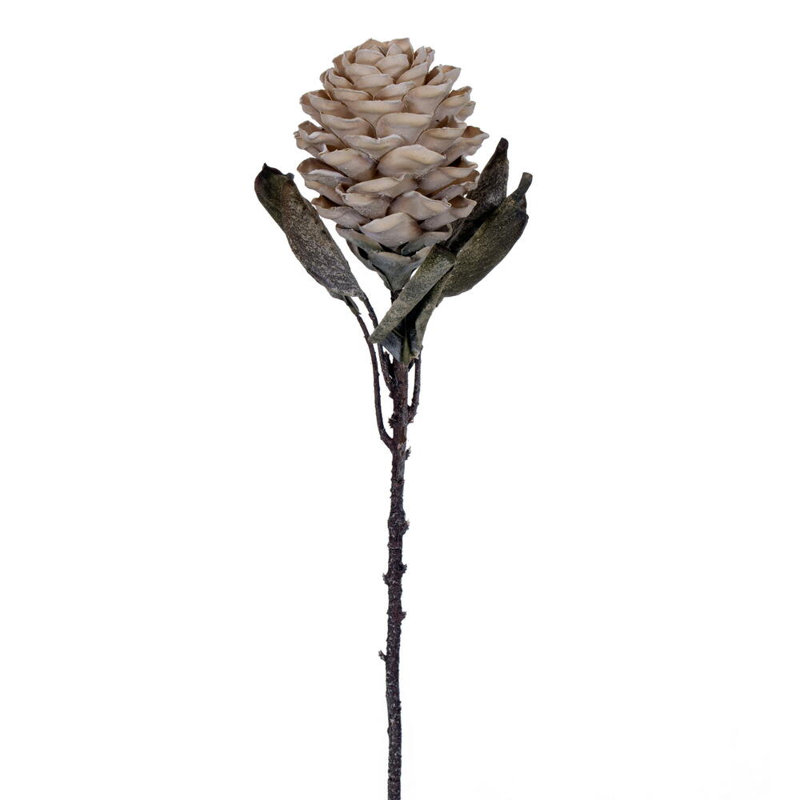 22 plantes, Crème