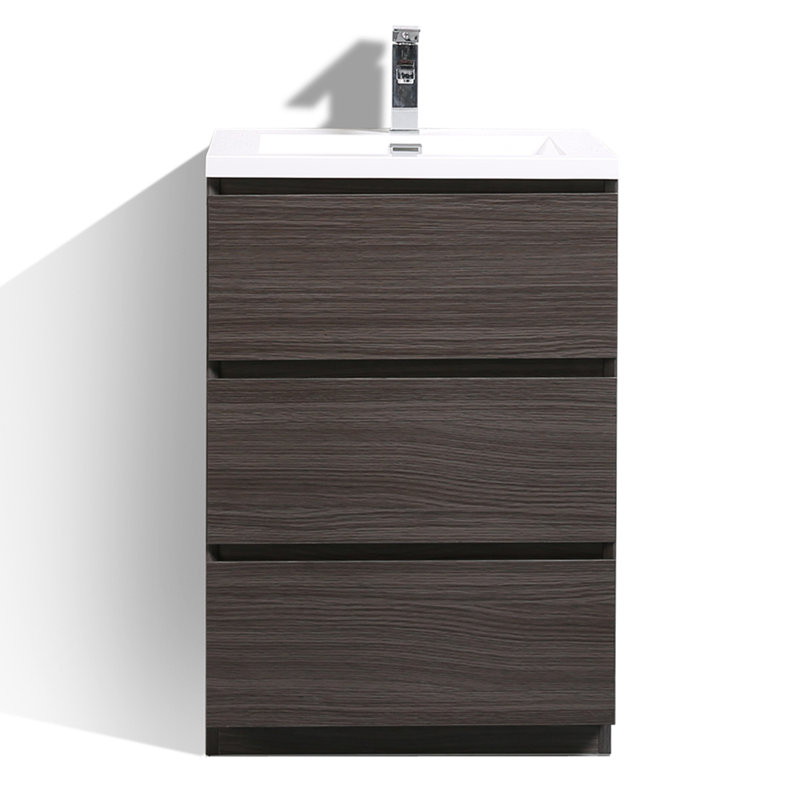 Hridhaan 23.5'' Single Bathroom Vanity with Plastic Top, Dark Gray Oak