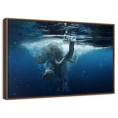 Éléphant sous l'eau