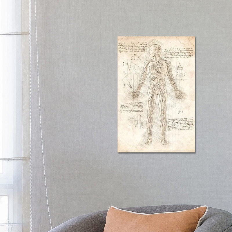 Human Circulatory System by Cornel Vlad - Wrapped Canvas Print, 66.04 cm H x 45.72 cm W