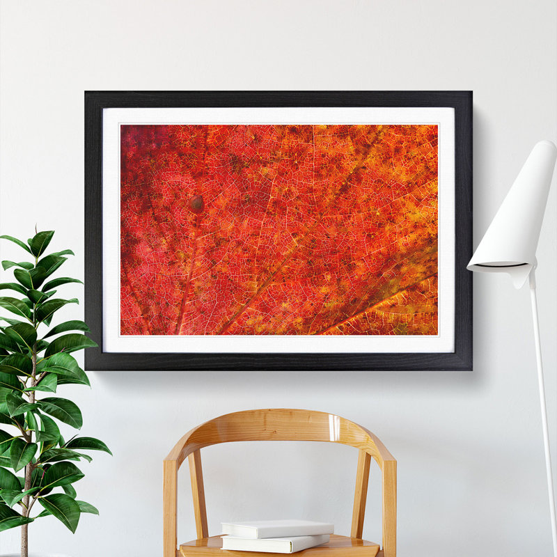 Autumn Leaf Vol.2 - Picture Frame Graphic Art, 36cm H x 48cm W x 2cm D, Black Framed