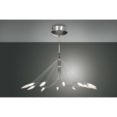 Tropic Designer Pendant Light, 12 Lights