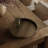 Ducor Metal Tray