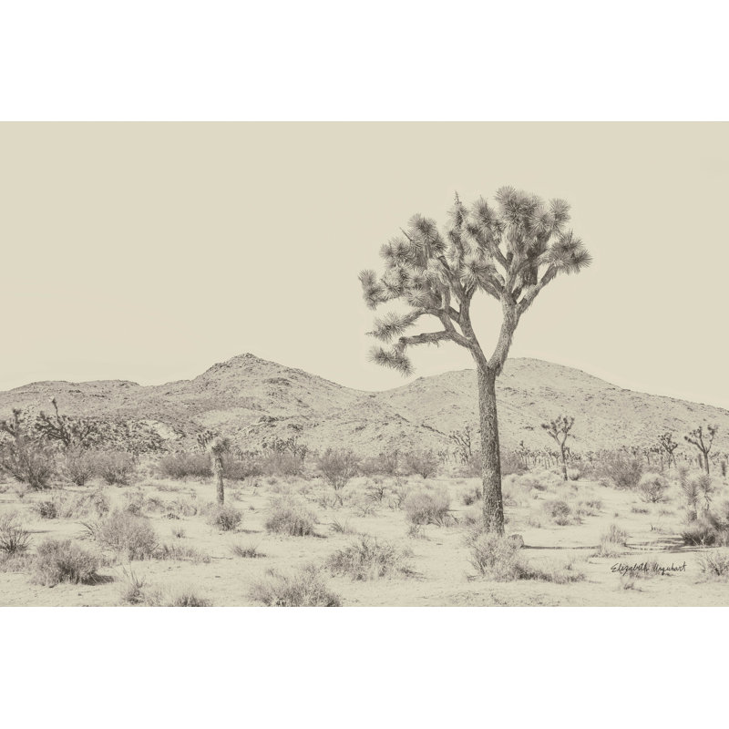 «Joshua Tree I Neutral» par Elizabeth Urquhart, reproduction de dessin à la machine, H 12 po x l 18 po, Non, Toile tendue