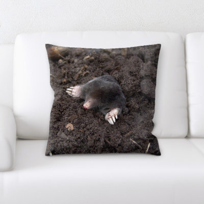 Coussin en jeté mole