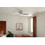 Ventilateur de plafond 54 po Volos-82941941