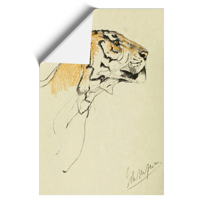 Study of a Tiger by John Macallan Swan - Frameless Print, 30cm H x 21cm W x 0.1cm D