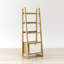 Ladder Bookcase