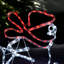 Weather Resistant Christmas Decoration
