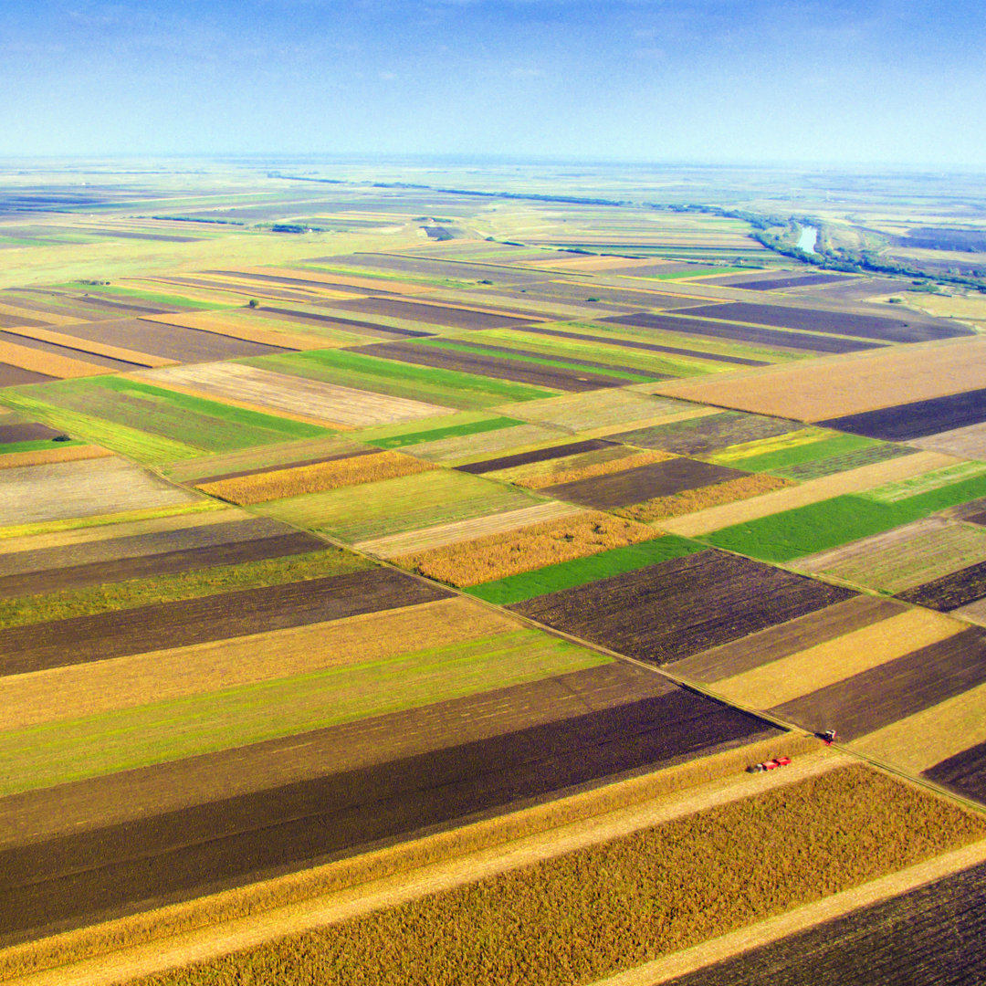 Landwirtschaftliche Felder von GoodLifeStudio - Kunstdrucke auf Leinwand