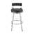 Black Seat/ Brushed Stainless Steel Frame