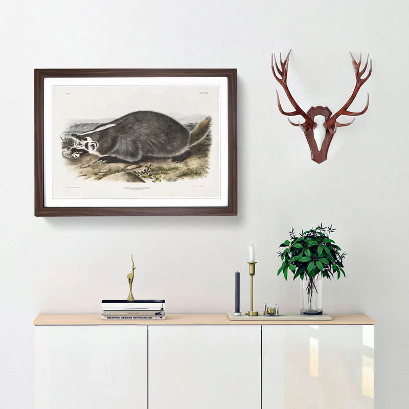 American Badger by J.W. Audubon - Single Picture Frame Painting, Walnut Framed, 24cm H x 33cm W x 2cm D