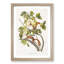 Red Squirrels by J.W. Audubon - Picture Frame Painting Print-55598148-55598145