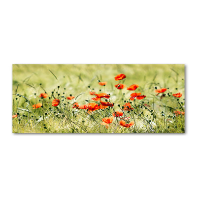 Maki - Wrapped Canvas Print