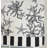 RLF Home Reef Banded Valance