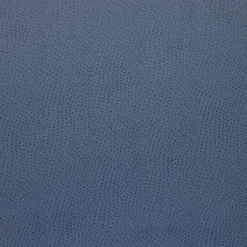 Delaney Design Fabric, Blue