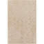 Hoboken Wool Oriental Area Rug in Tan/Gray-1602642393