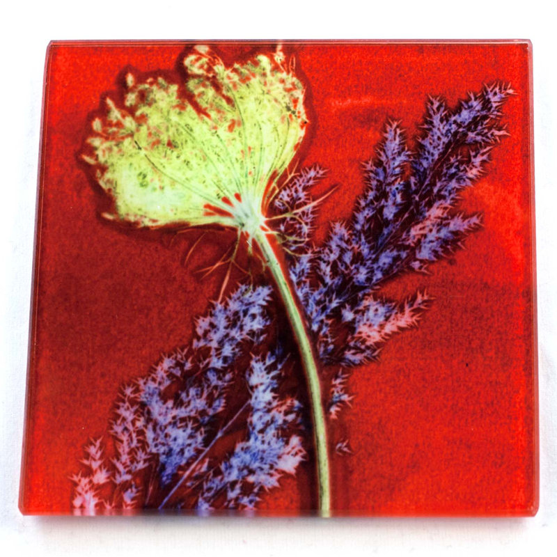 Glass Square 1 Piece Coaster, Red