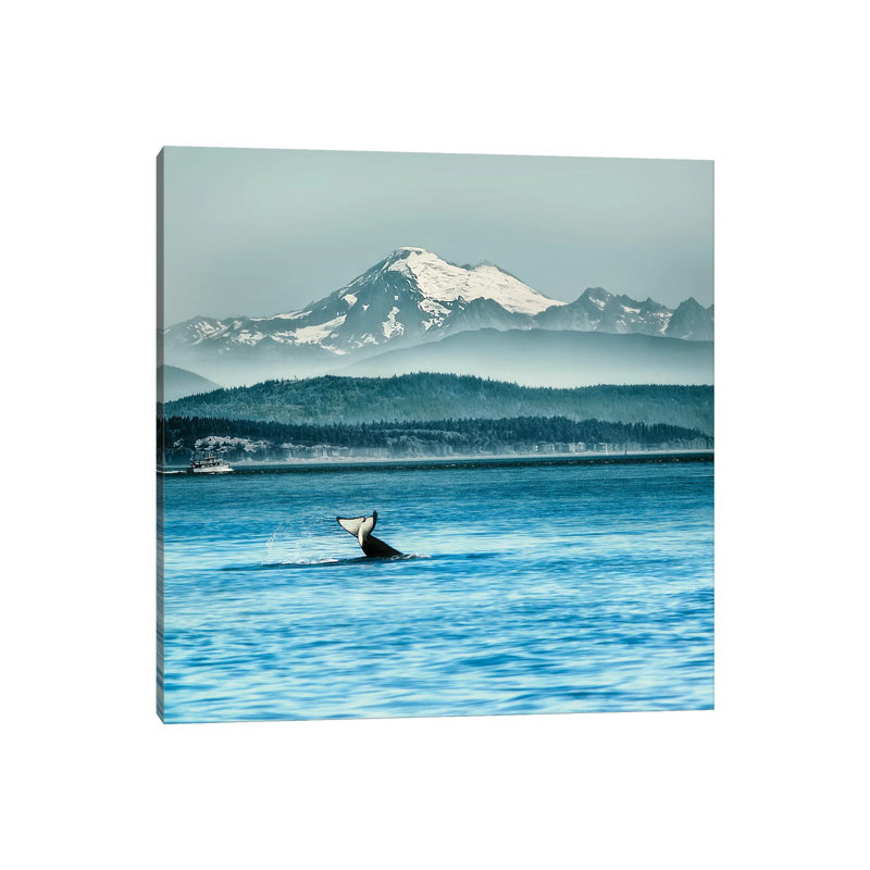 Whale Tale by MScottPhotography - Wrapped Canvas Gallery-Wrapped Canvas Giclée, 66.04 cm H x 66.04 cm W x 3.175 cm D