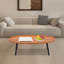 Table basse moderne / table d'appoint pour salle de réception de salon
