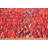Moroccan One-of-a-Kind 4'7" X 12'6" Runner Wool Area Rug in Red/Blue/White