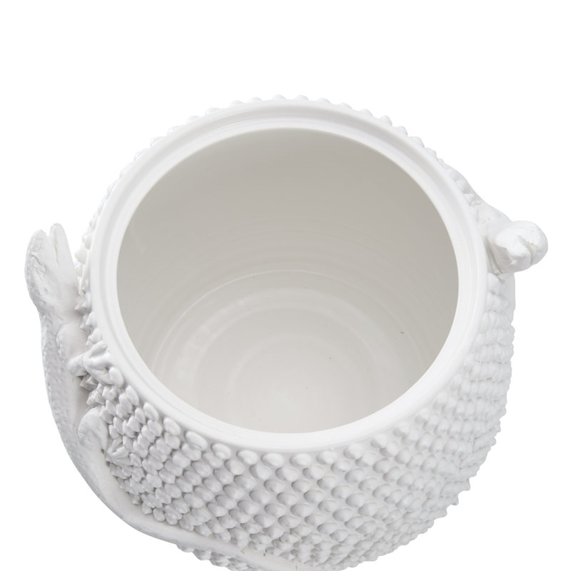 Anolis Canister - White