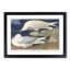 White-Winged Silvery Gull by John James Audubon - Framed Print-55641917-55641925