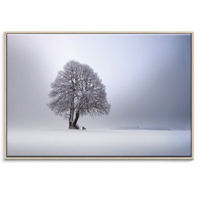 Print on Canvas