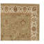 Dharma Floral Area Rug in Light Green/Ivory-1508548166