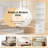 Aranea Bookcase Storage Bookcase-194214343