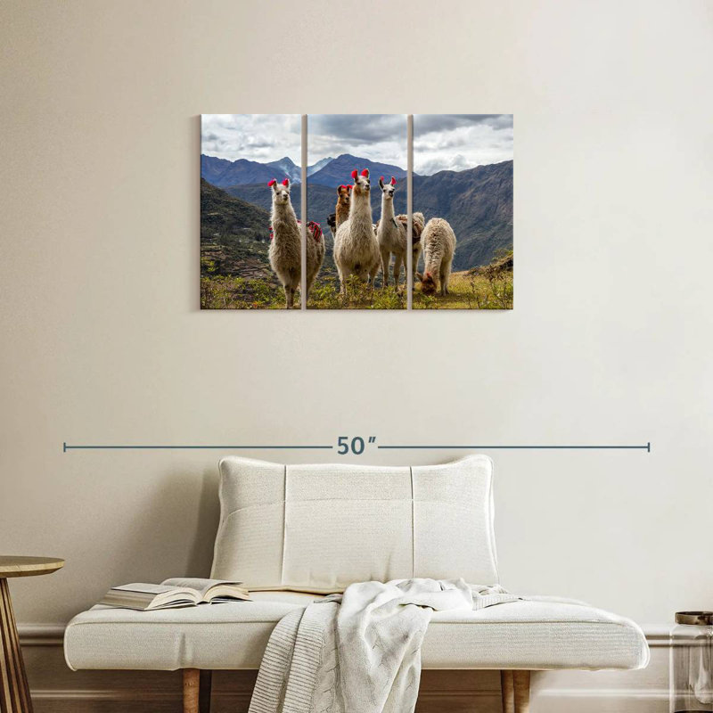 Lares Llamas, H 20 po x l 33 po