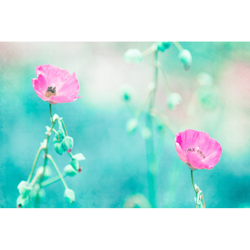 Morgan J Hartley - Wrapped Canvas Print, 61cm H x 91cm W x 3.81cm D