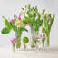 Dublin Crystal Tall Bud Vase