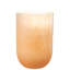 Lotson Apothecary Jar 1