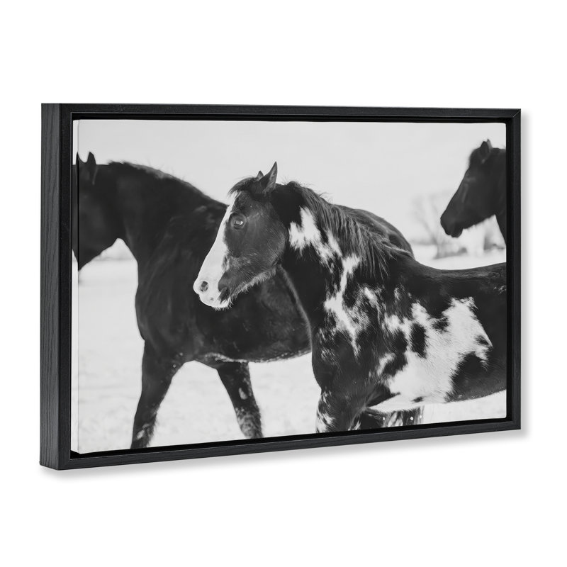 Cadre flottant noir Winter Horses, design par Amy Carroll, Noir, H 17 po x l 25 po