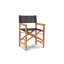 Folding Director Chair-113112993