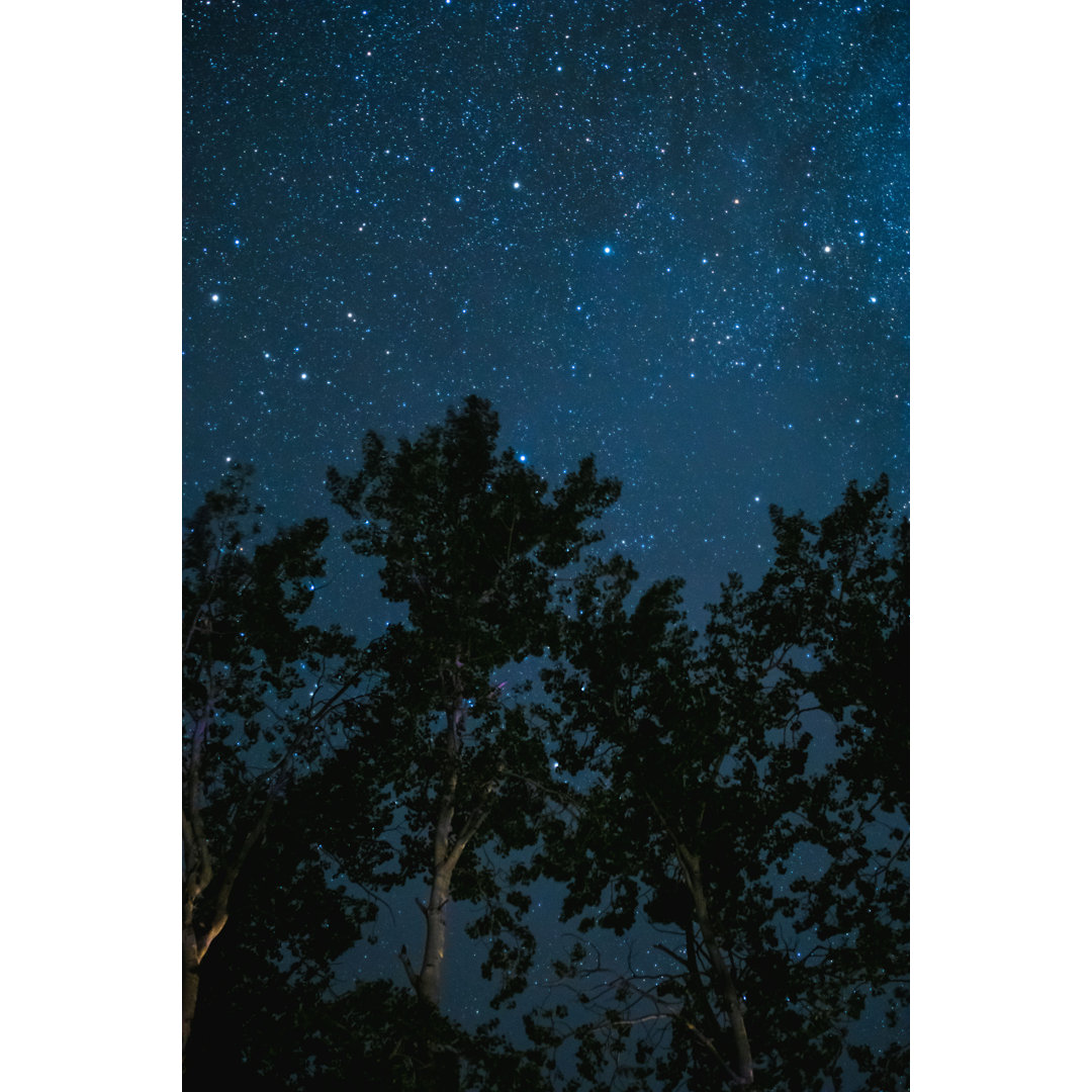 " Night Sky With Stars " by Charles Martinez Ebern Designs 