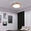 LED Flush Mount