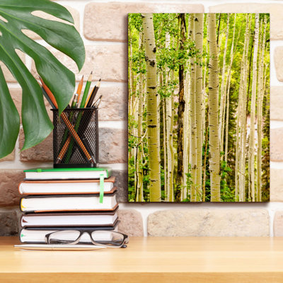 "Millwood Pines" Spring Aspens "par Mark A Paulda, art mural sur toile