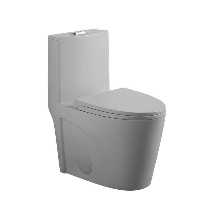 1.1/1.6 GPF Tornado Flush One-Piece Toilet For Bathrooms,Siphonic S-Trap 12",Elongated Bowl With Soft Close Seat,Powerful Dual Flush MAP 1000G,Comfort Chair Seat ADA Height 17"