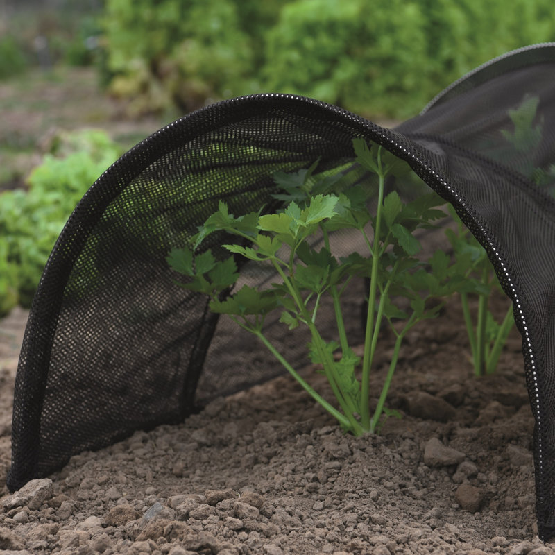 Garden Grow Pvc Greenhouse Tunnel, Black