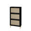 Range-chaussures moderne à 3 portes, rangement autoportant pour le vestibule, capacité de charge de 44 lb, conception, ouverture au soleil, poignée en or, tablette double, base en métal avec patins, noir, panneau de particules, facile-1418371459